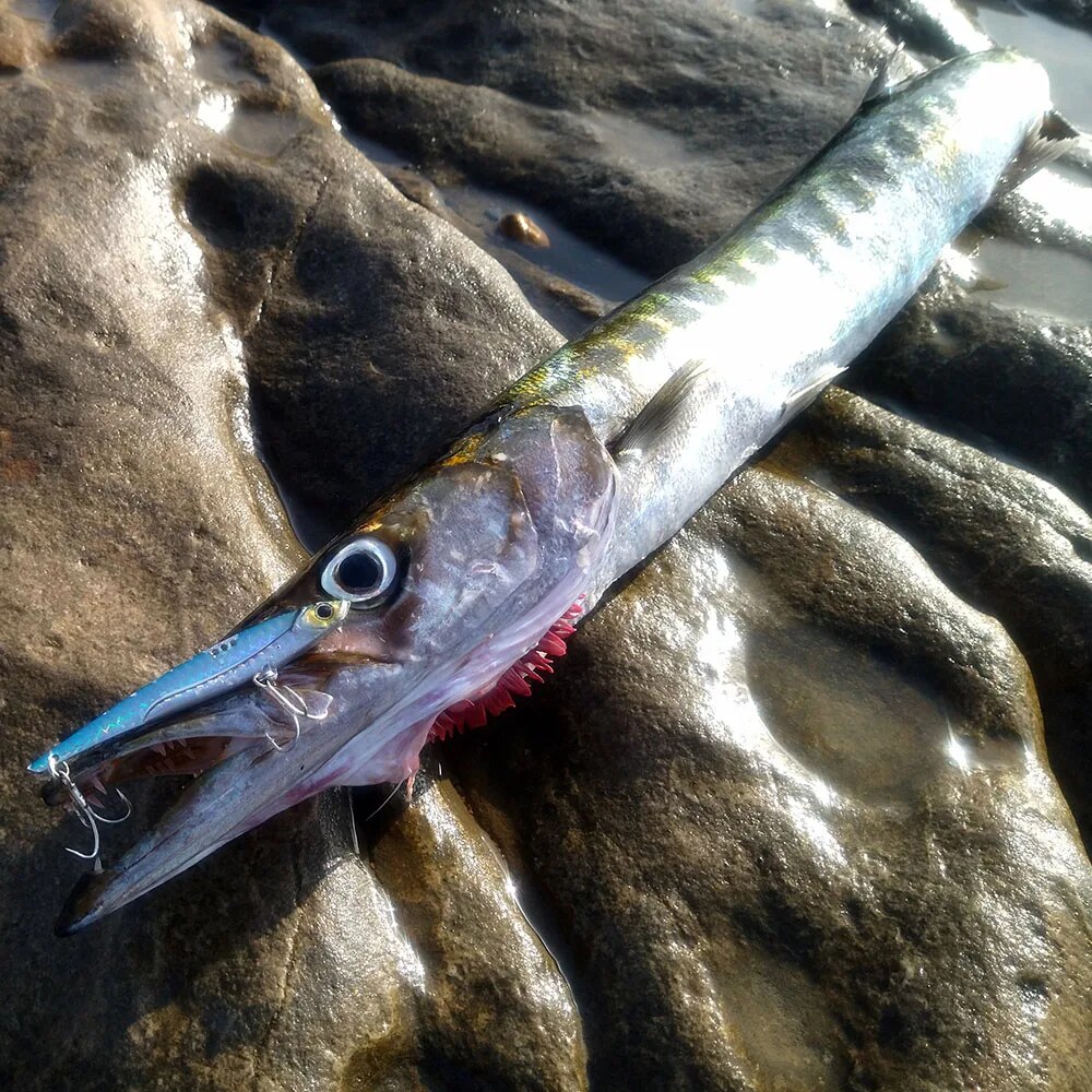 GOBAIT VIB Fishing Lure 20g 25 - Fishing Lure Blade Bait 评论和价格