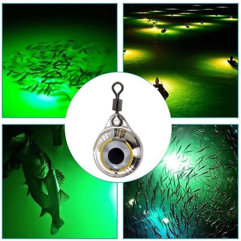 FLYSAND Fishing Lights Night F - Fishing Lure Accessories 评论和价格